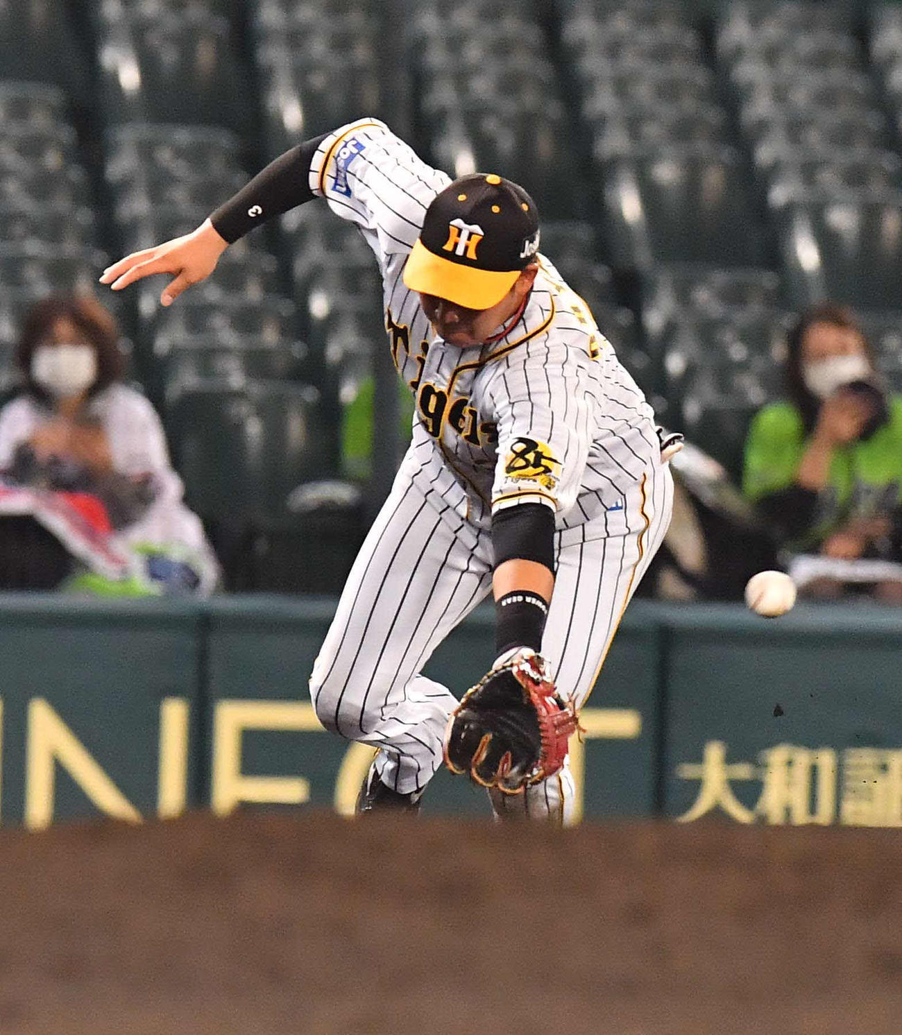 阪神対ヤクルト　5回表ヤクルト1死、宮本丈の打球を後逸する大山悠輔（撮影・上田博志）