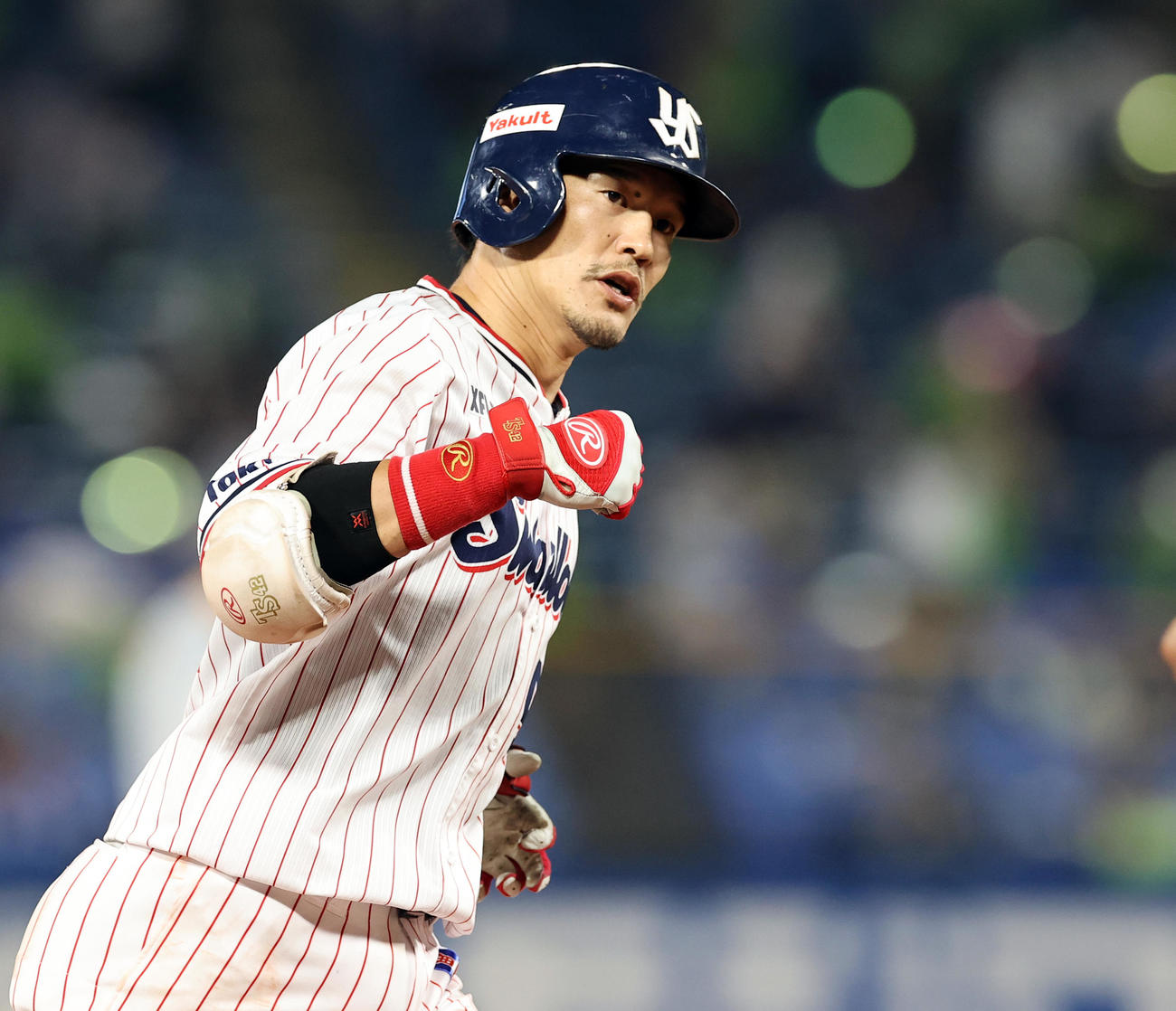 ヤクルト坂口智隆（2020年8月26日撮影）