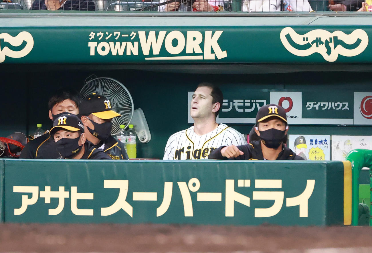 阪神対ヤクルト　5回を終えベンチで厳しい顔をみせる阪神ガンケル（撮影・清水貴仁）