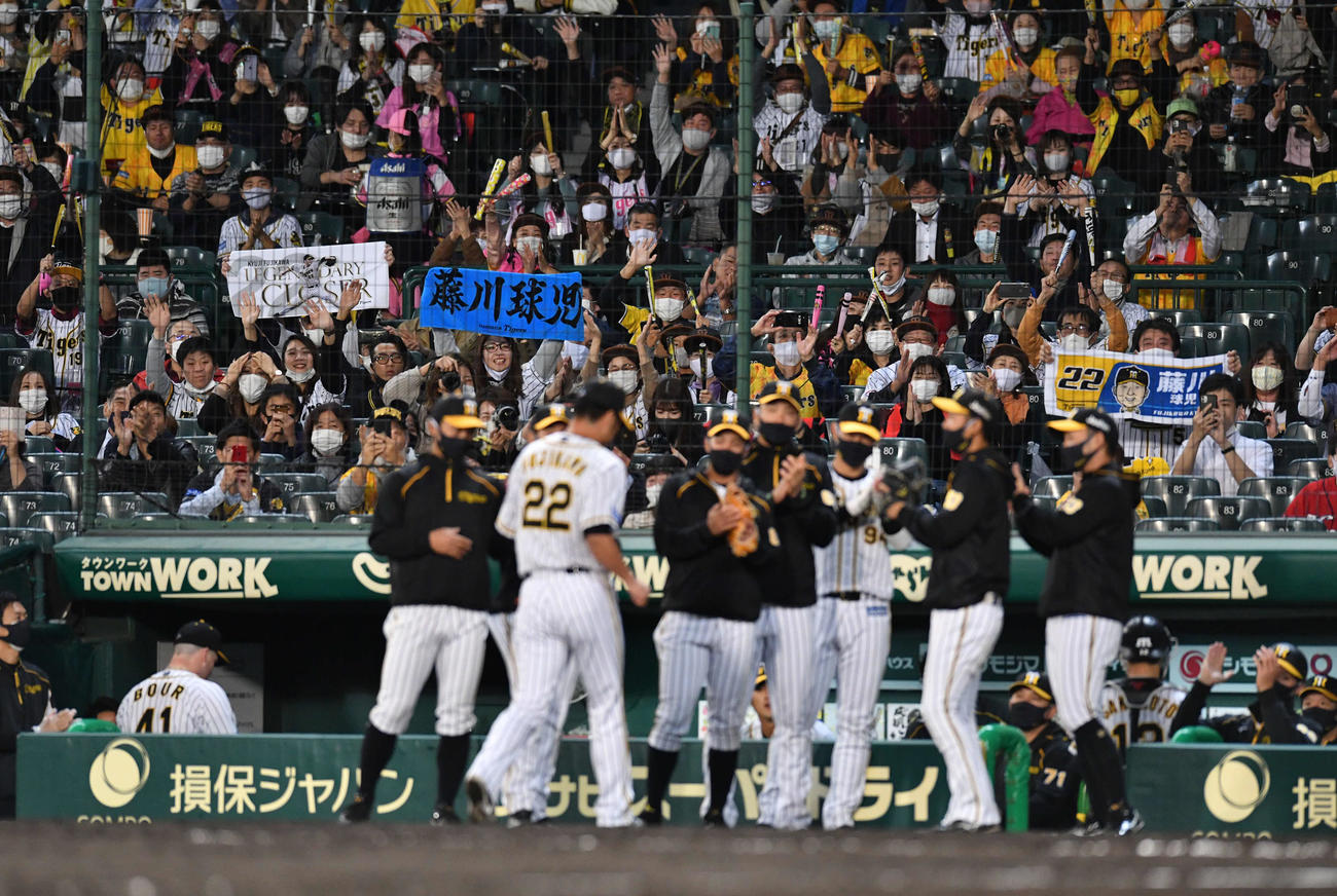阪神対広島　6回表、無失点に抑えベンチへ戻る藤川をタオルやユニホームを掲げて迎える阪神ファン（撮影・岩下翔太）