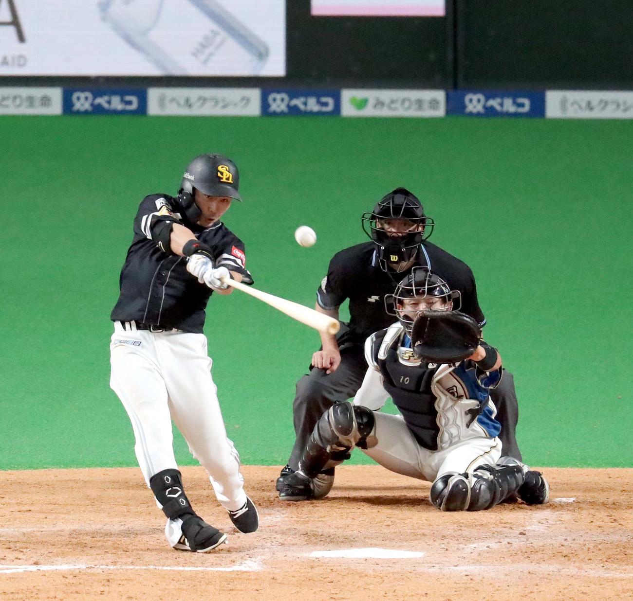 日本ハム対ソフトバンク　5回表ソフトバンク1死三塁、中村晃は勝ち越しとなる右犠飛を放つ（撮影・佐藤翔太）