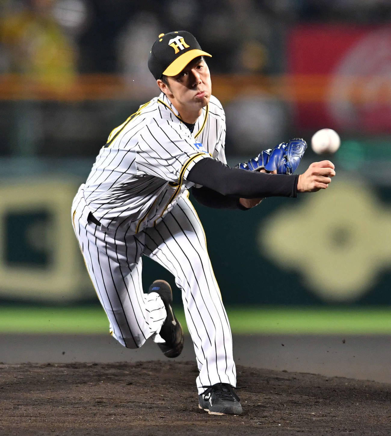 阪神対広島　力投する阪神先発の青柳（撮影・岩下翔太）