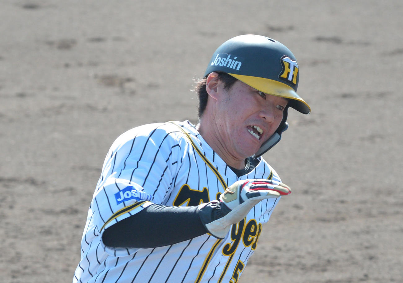 阪神陽川（2020年10月15日代表撮影）