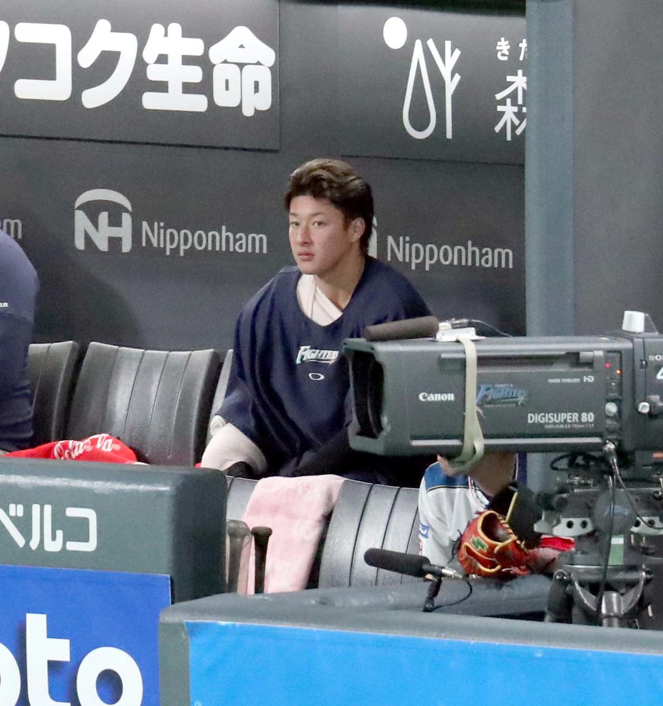 日本ハム対ソフトバンク　ベンチから試合を見つめる日本ハム吉田輝（撮影・佐藤翔太）