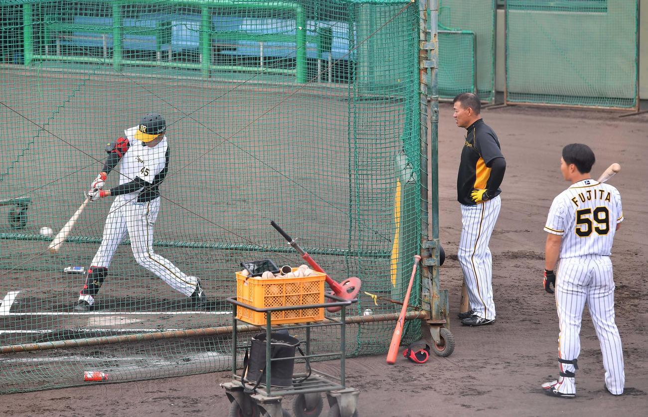 遠藤成（左）、藤田健斗（右）の打撃を見守る福留孝介