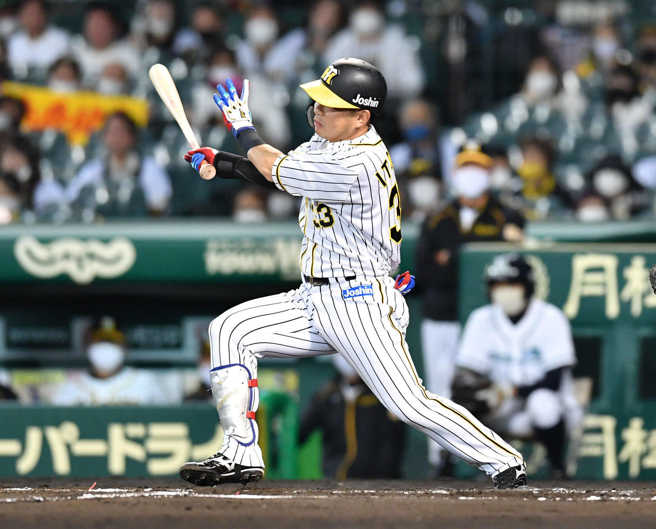 阪神対広島23回戦　6回裏阪神1死一、三塁、糸原は右前適時打を放つ（撮影・岩下翔太）
