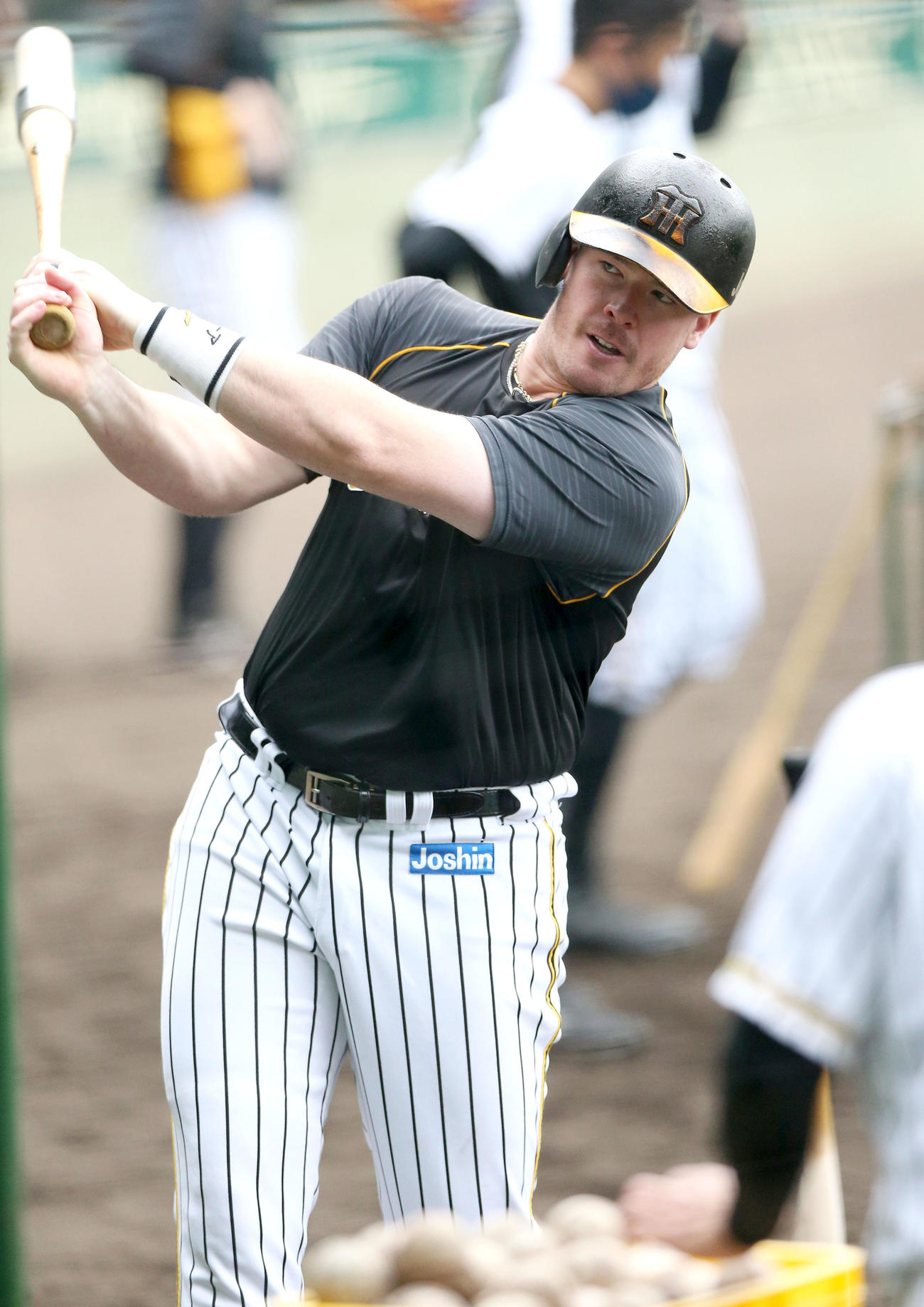 阪神対広島　試合前の練習でトス打撃で汗を流すボーア（撮影・上山淳一）
