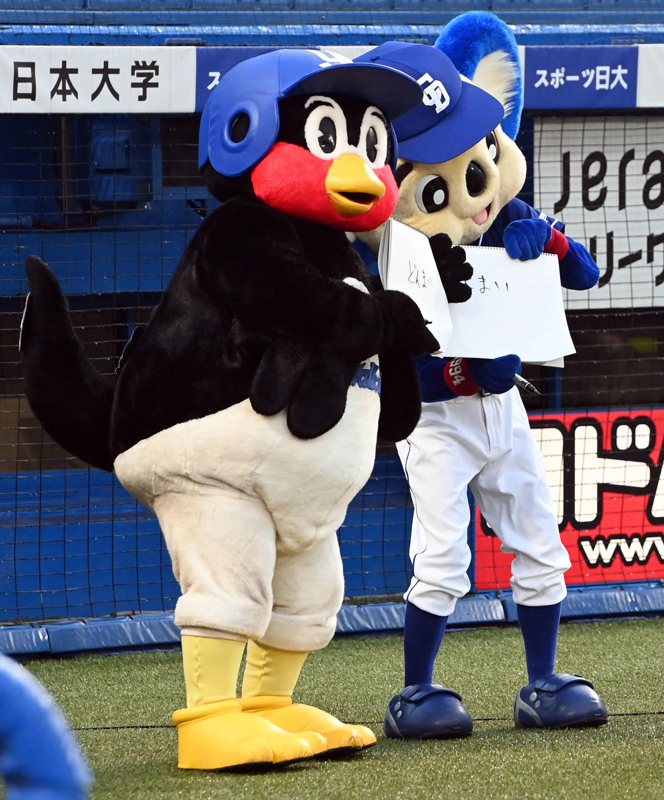 ヤクルト対中日　筆談トークショーを行ったヤクルトのつば九郎と中日のドアラ（撮影・たえ見朱実）