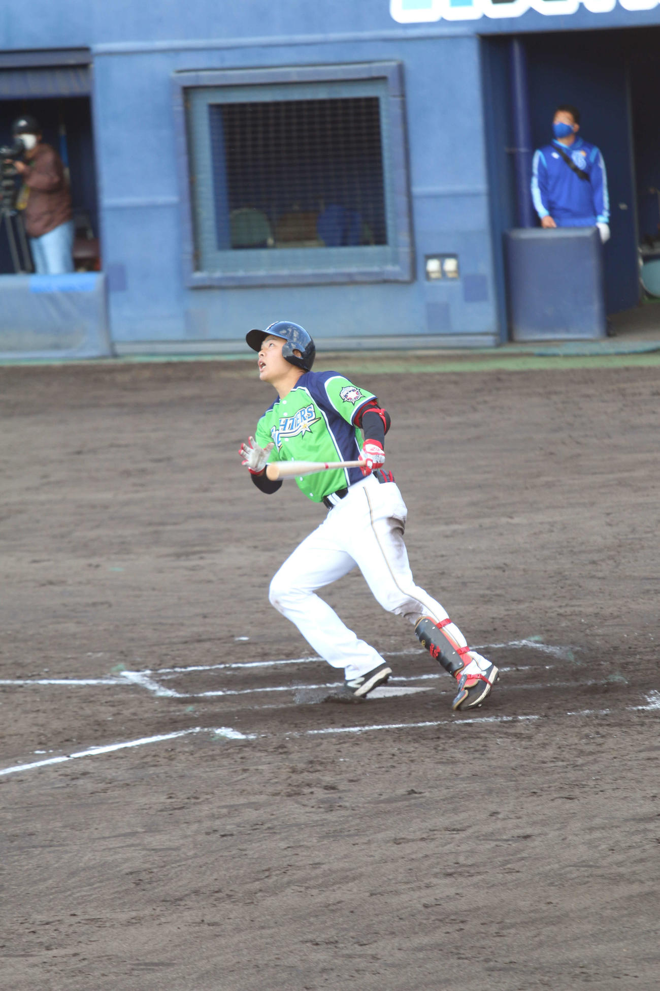 打球を打ち上げ見上げる日本ハム野村（撮影・田中彩友美）