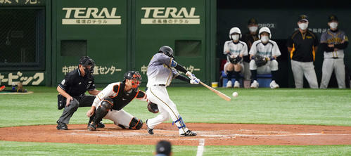 巨人対阪神　2回表阪神2死二塁、右前適時打を放つ近本（撮影・鈴木みどり）