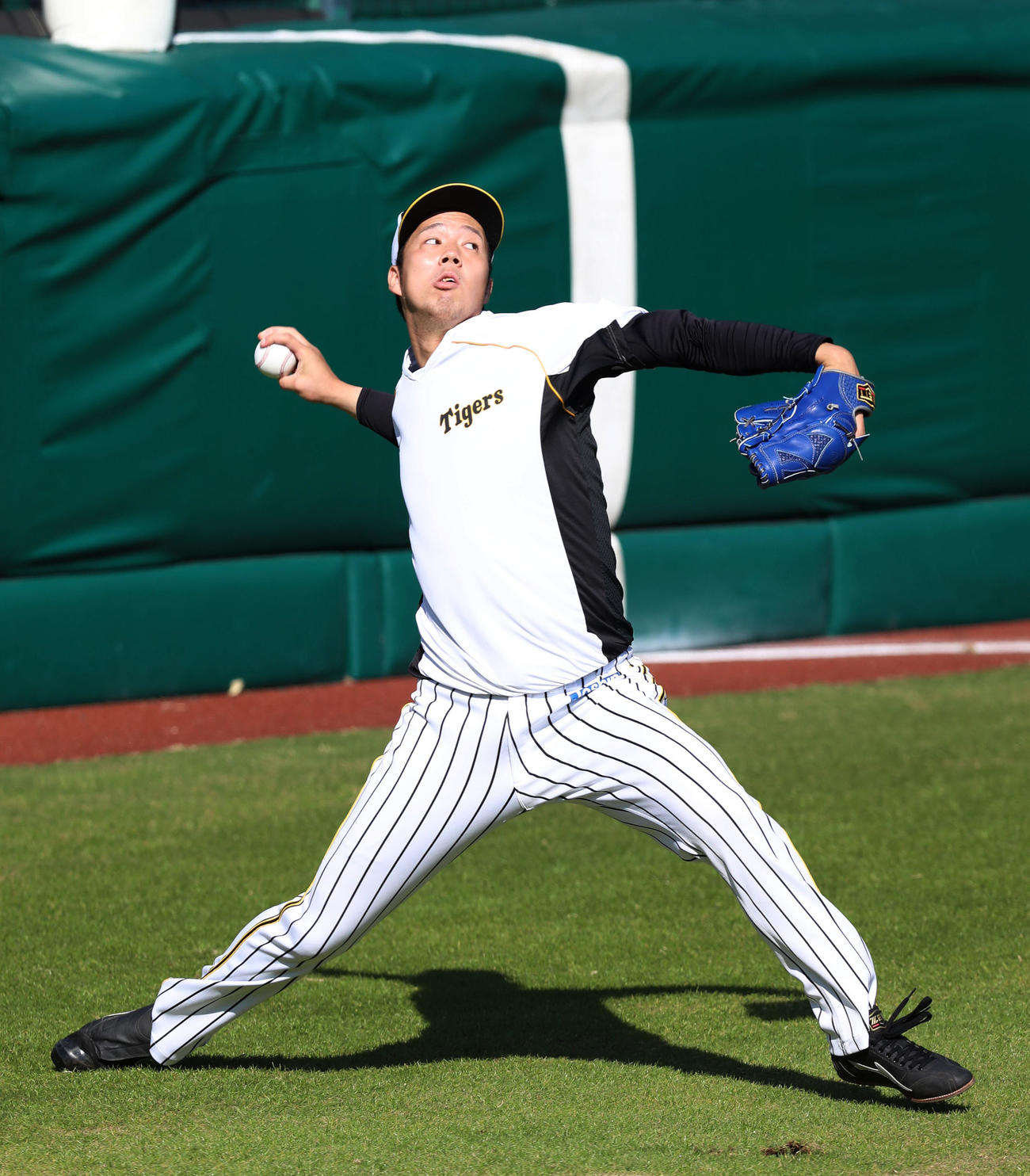投手の指名練習に参加しキャッチボールする青柳（撮影・加藤哉）