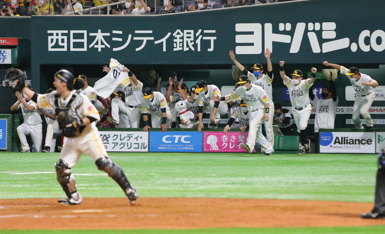 ソフトバンク対ロッテ　優勝の瞬間、ベンチを飛び出すソフトバンクの選手たち。手前左は捕手甲斐（撮影・菊川光一）
