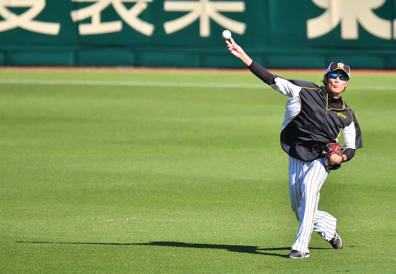 阪神対中日　キャッチボールをして調整する藤浪晋太郎（撮影・上田博志）