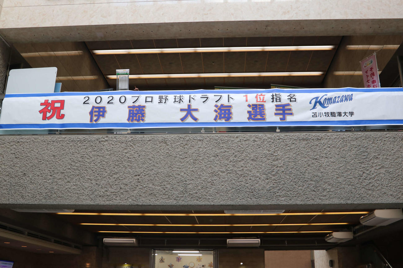 苫小牧駒大・伊藤のドラフト1位指名を祝い、苫小牧市役所内に掲げられた横断幕（撮影・山崎純一）