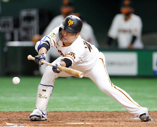 巨人対ヤクルト　4回裏巨人1死一、二塁、犠打を決める今村（撮影・狩俣裕三）