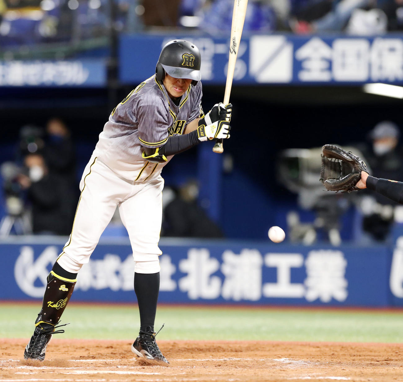 DeNA対阪神　10回表阪神2死満塁、代打植田は死球とされたがリプレー検証でグリップエンドに当たったと判定が下る（撮影・加藤哉）