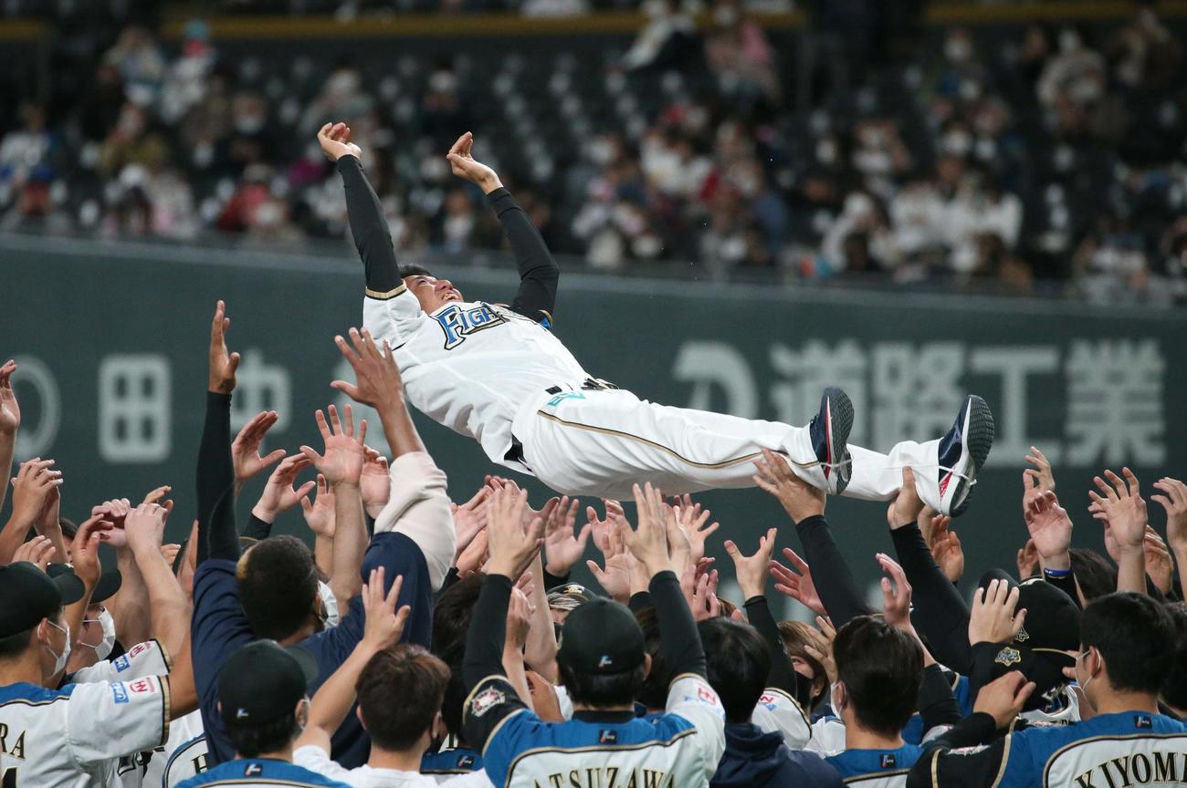 日本ハム対オリックス　引退セレモニーでナインに胴上げされる浦野（撮影・黒川智章）