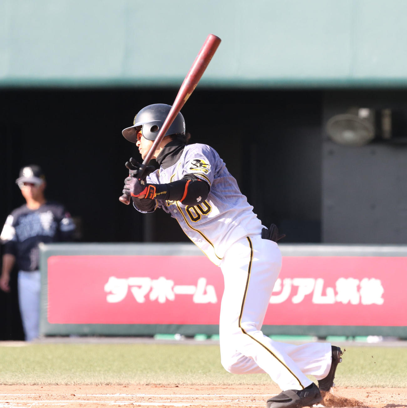 6回表阪神2死、上本博紀は中前安打を放つ（撮影・梅根麻紀）