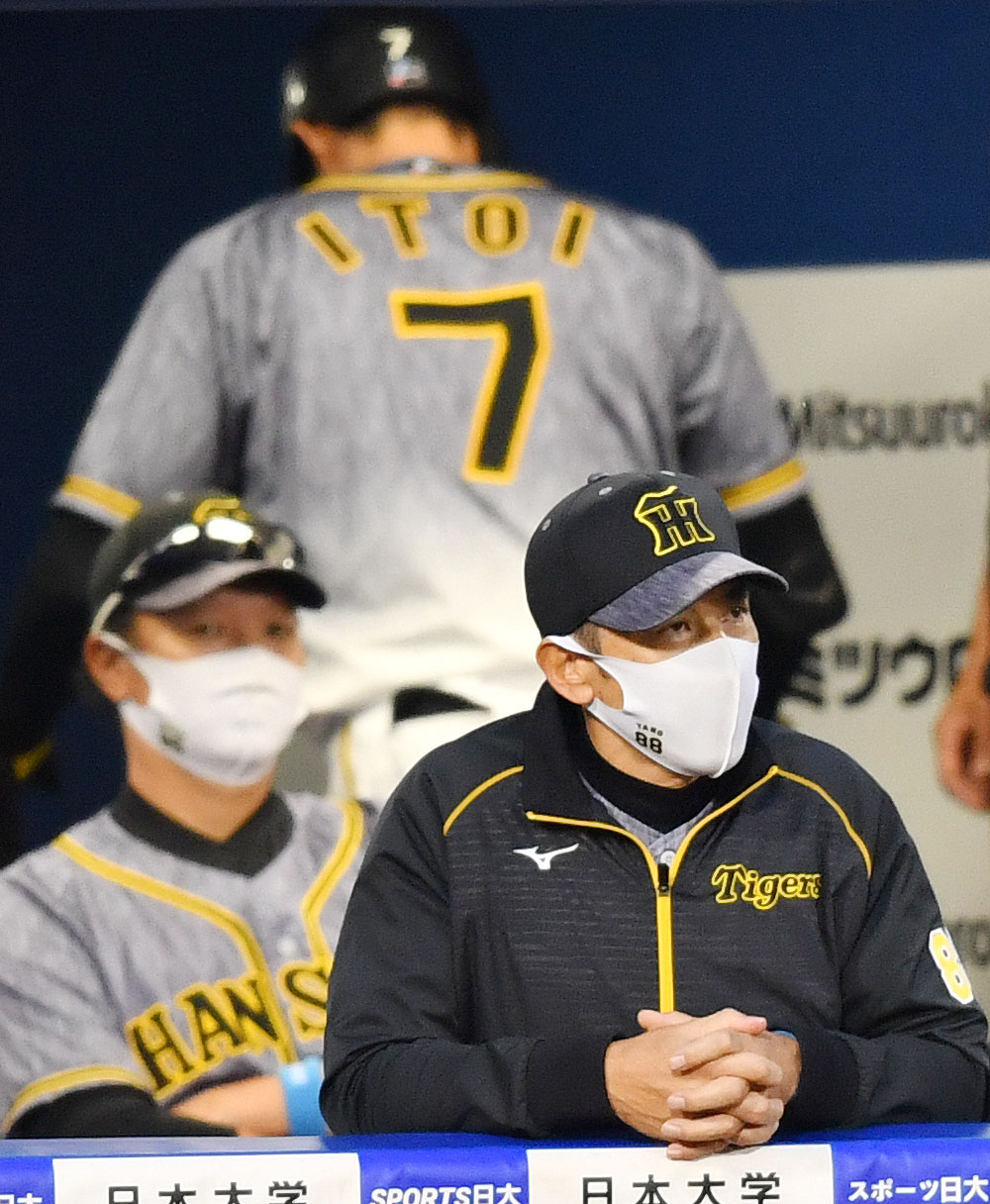 DeNA対阪神　8回表阪神1死満塁、糸井（後方）が三振に倒れ厳しい表情でグラウンドを見つめる矢野監督（手前）（撮影・横山健太）