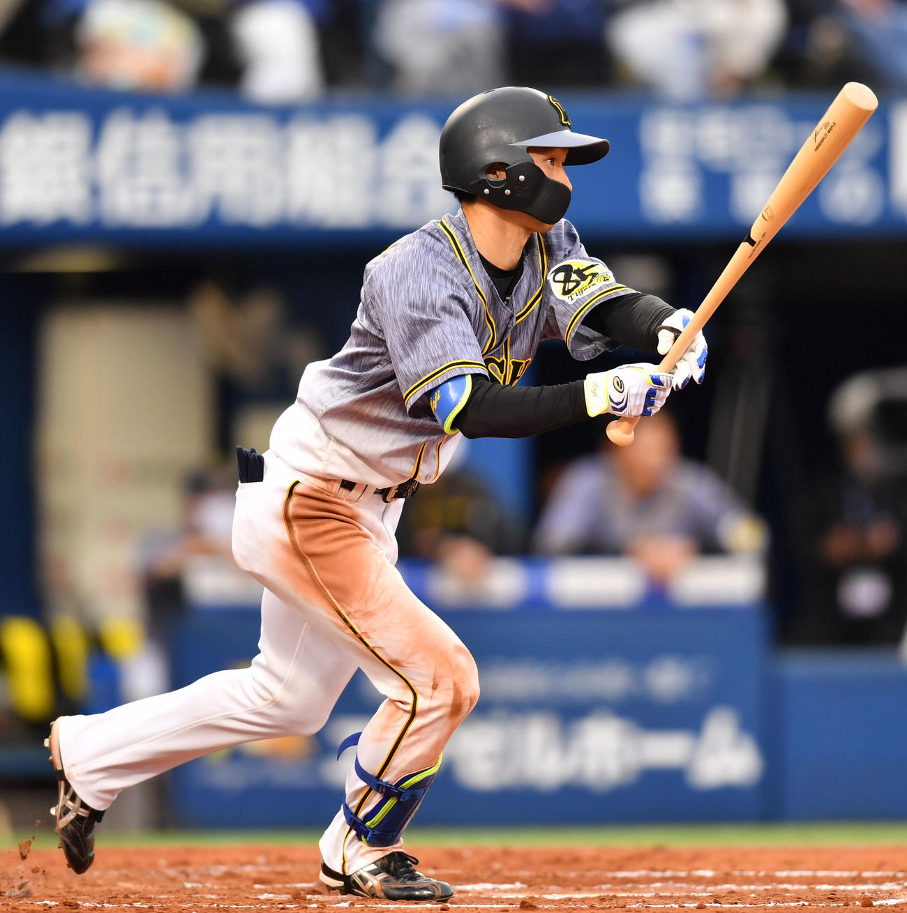 DeNA対阪神　7回表阪神1死一、三塁、右前適時打を放つ近本（撮影・横山健太）