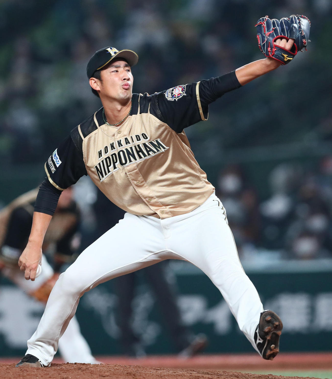 西武対日本ハム　7回から登板した日本ハム望月（撮影・足立雅史）