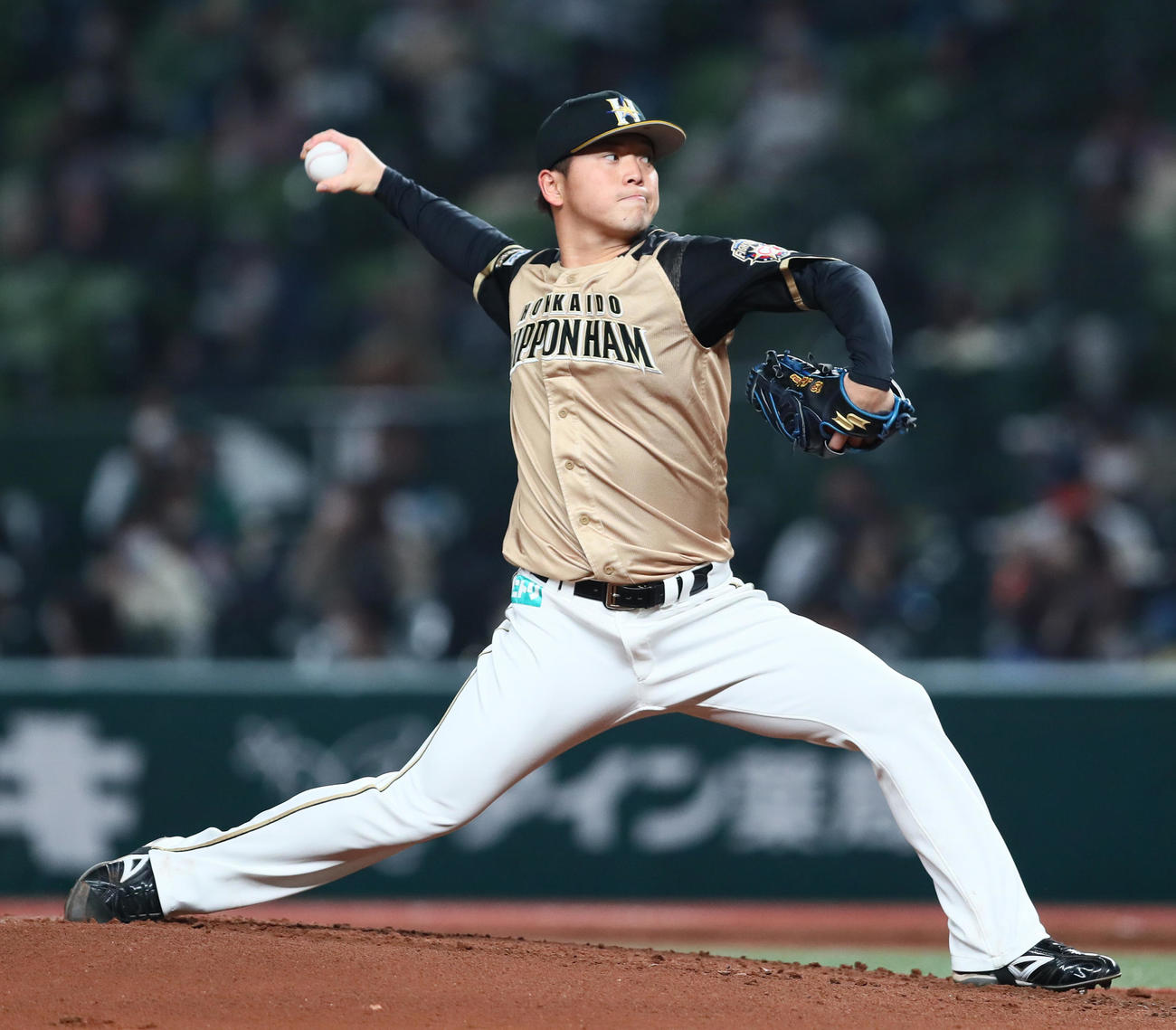 西武対日本ハム　日本ハム先発の生田目（撮影・足立雅史）