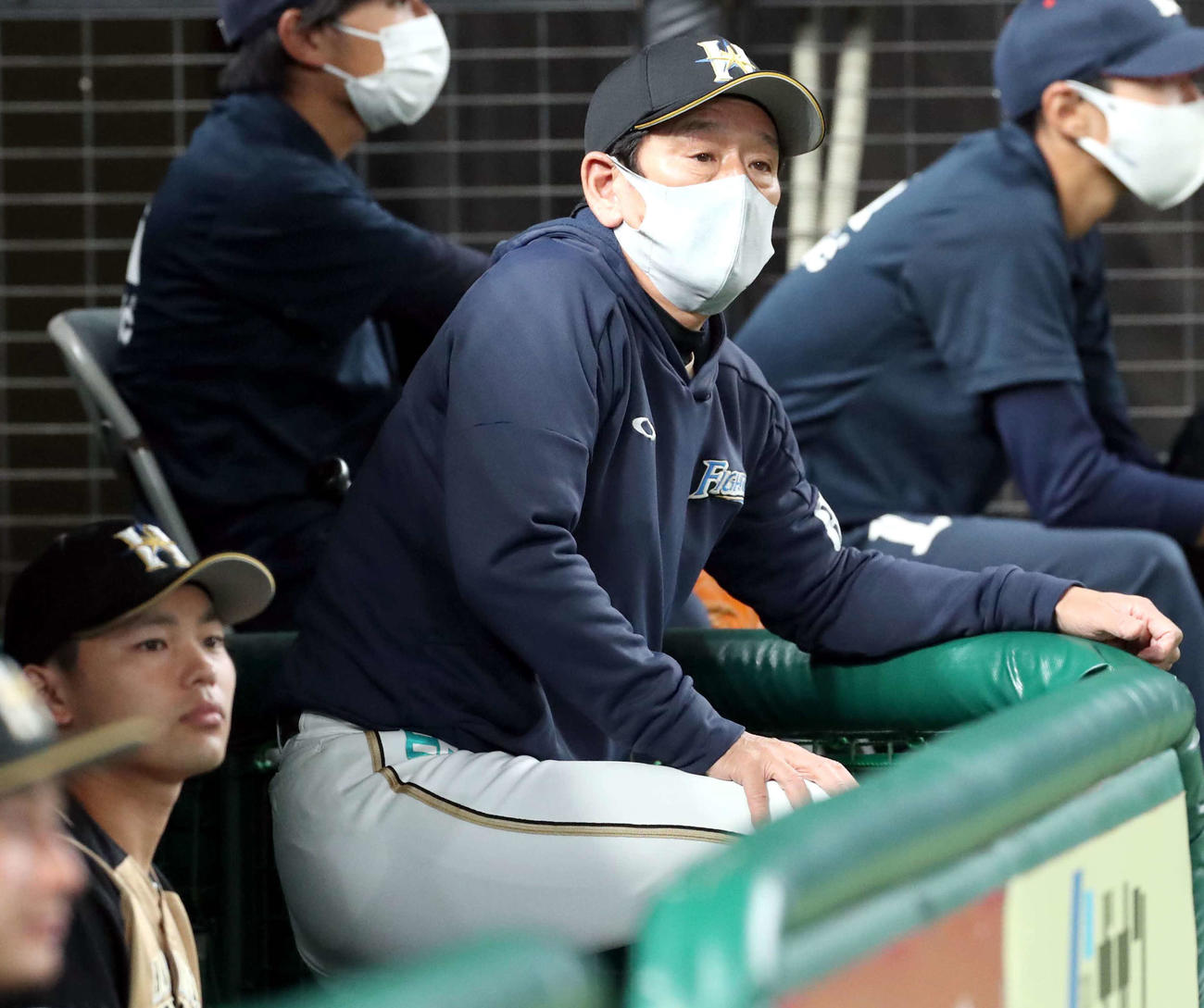 西武対日本ハム　グラウンドを見つめる日本ハム栗山監督（撮影・佐藤翔太）