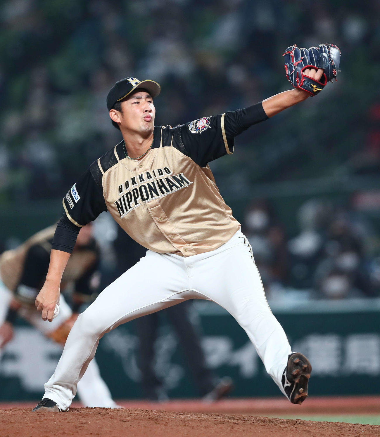西武対日本ハム　7回から登板した日本ハム望月（撮影・足立雅史）