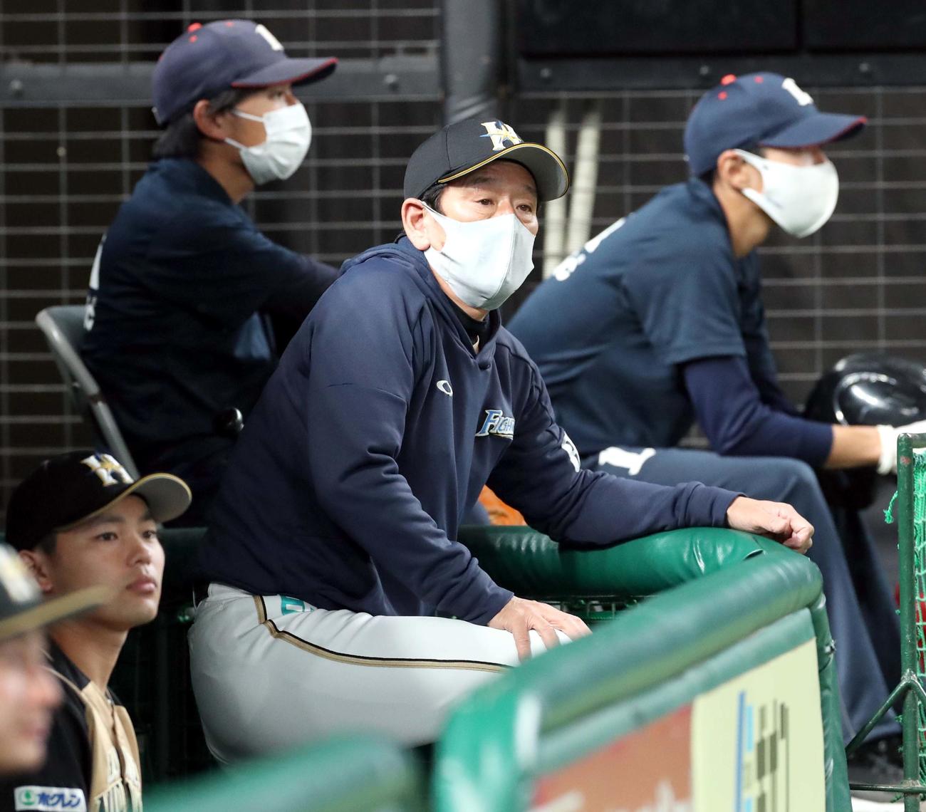 西武対日本ハム　グラウンドを見つめる日本ハム栗山監督（撮影・佐藤翔太）