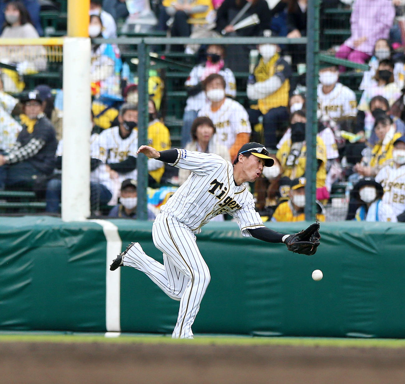 阪神対ヤクルト　4回表ヤクルト1死、右翼手陽川はエスコバーの打球を落球し二塁進塁を許す（撮影・上山淳一）