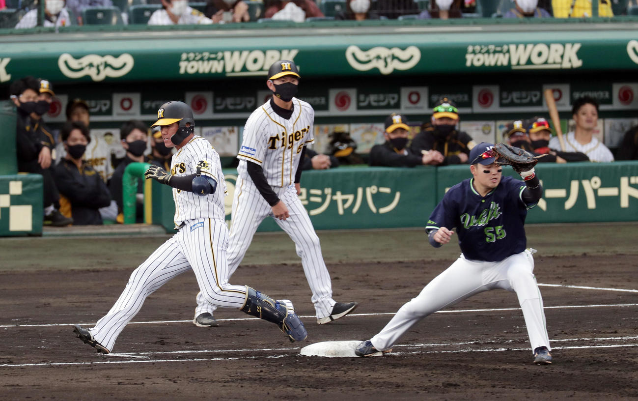 阪神対ヤクルト　4回裏阪神1死満塁、二ゴロを放ち一塁へ駆け込む陽川。一塁手村上（撮影・前田充）
