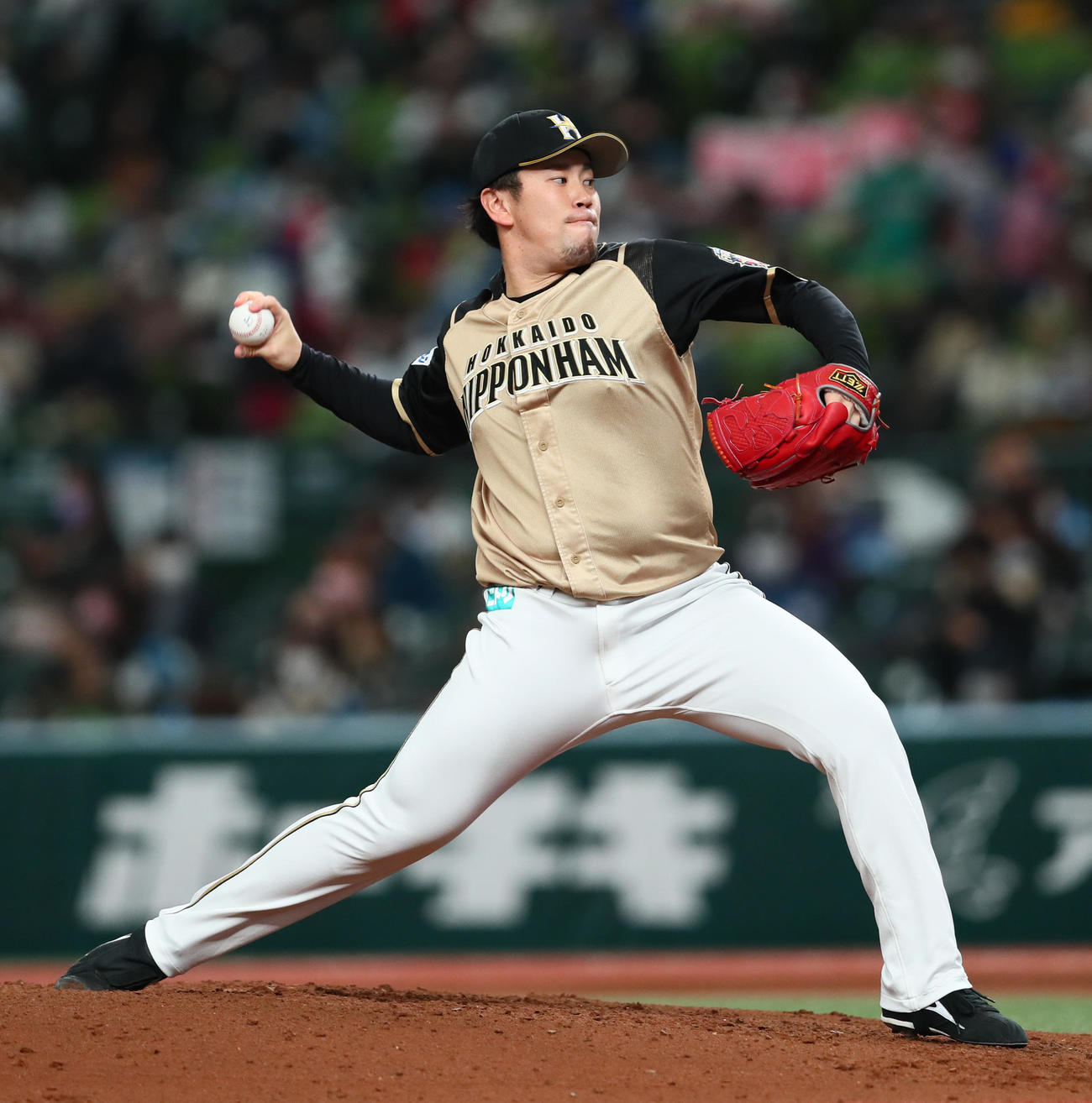 西武対日本ハム　日本ハム先発の西村（撮影・足立雅史）