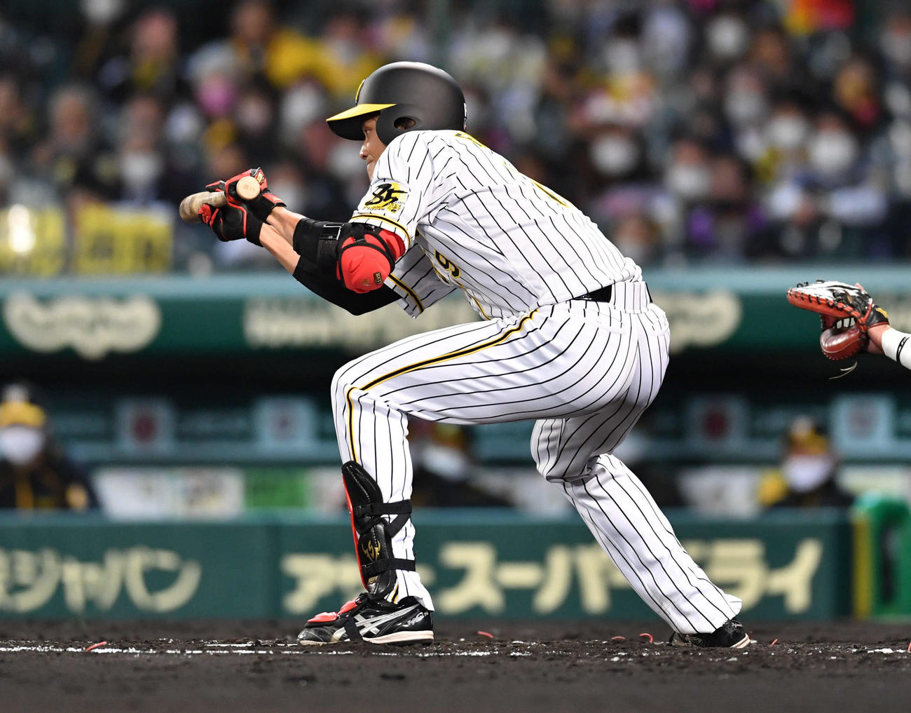 阪神対ヤクルト23回戦　3回裏阪神1死一塁、投前犠打に成功する藤浪晋太郎（撮影・岩下翔太）