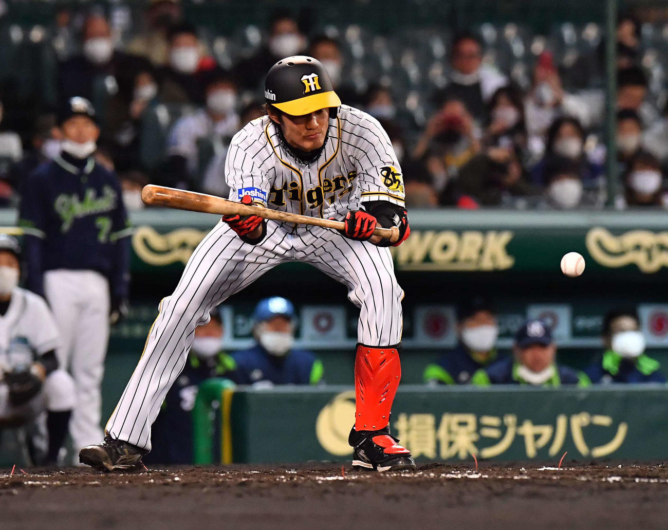 3回裏阪神1死一塁、送りバントを決める藤浪晋太郎（撮影・上田博志）