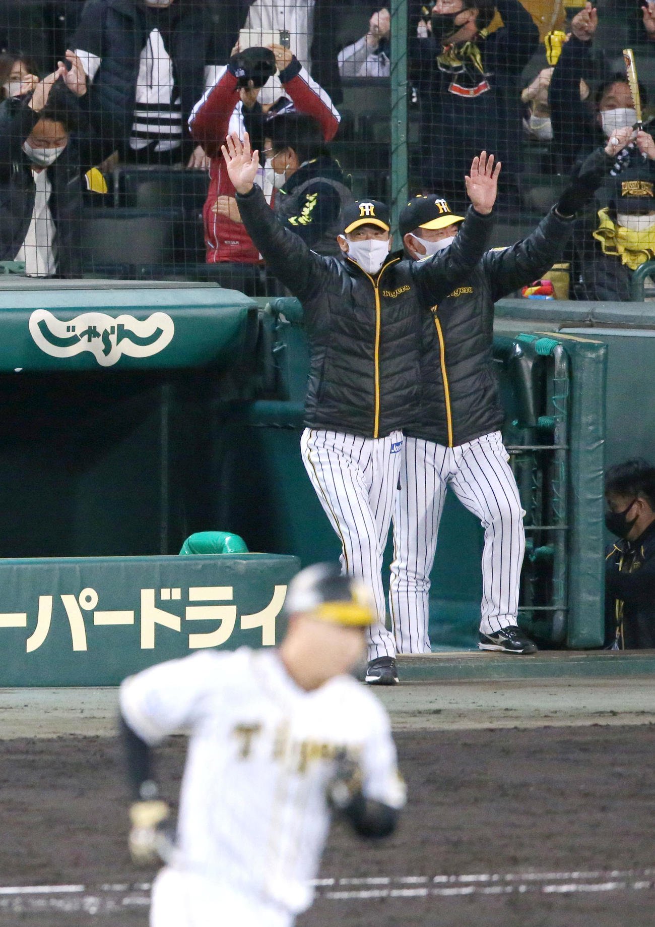 阪神対ヤクルト　9回裏阪神1死、矢野監督（右から2人目）は大山（手前）の左中間越えサヨナラ本塁打で万歳で喜ぶ（撮影・上山淳一）