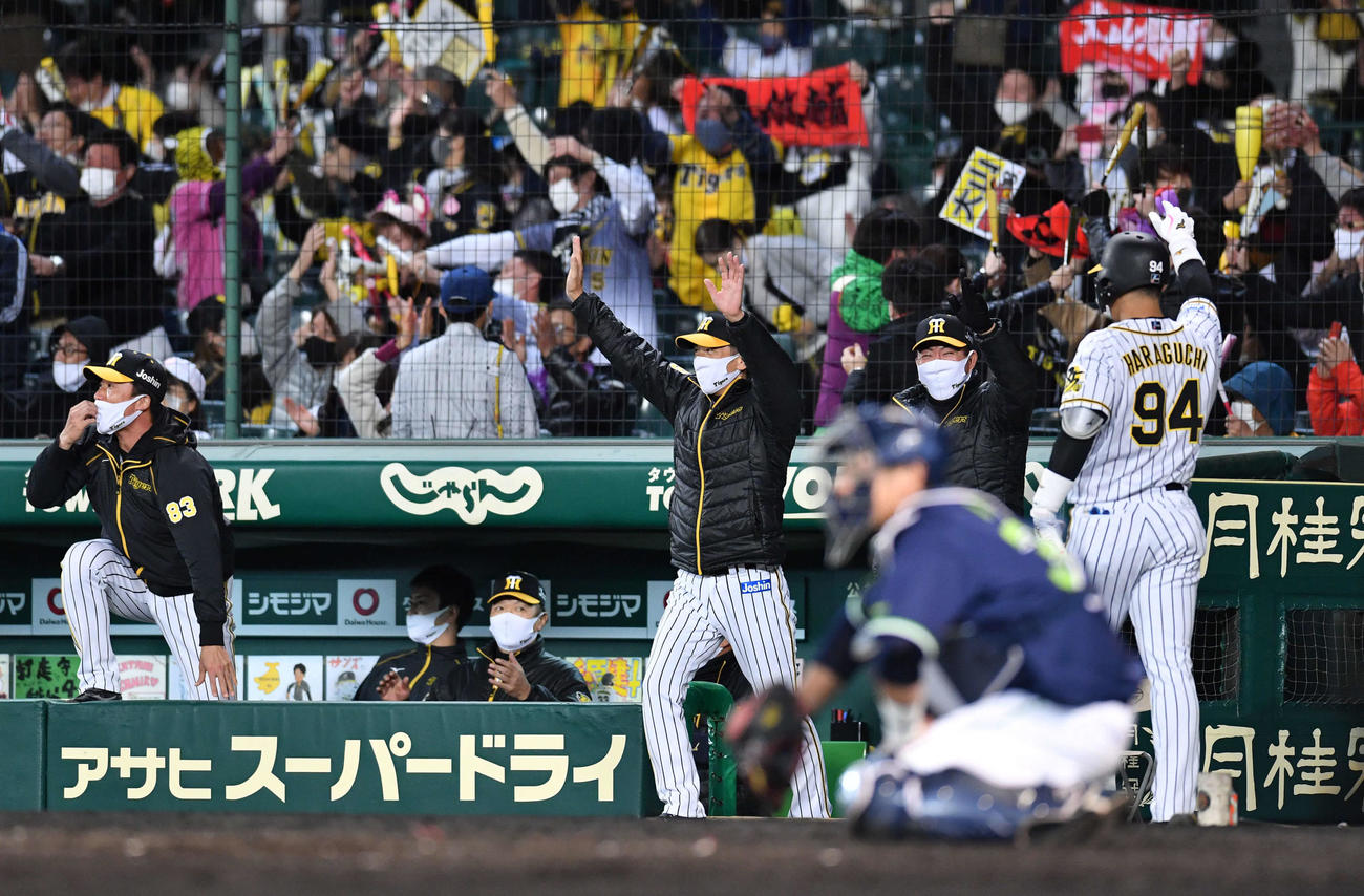 阪神対ヤクルト　9回裏阪神1死、大山悠輔が左中間へサヨナラ本塁打を放ち、ばんざいしながらベンチを飛び出す矢野燿大監督（撮影・岩下翔太）