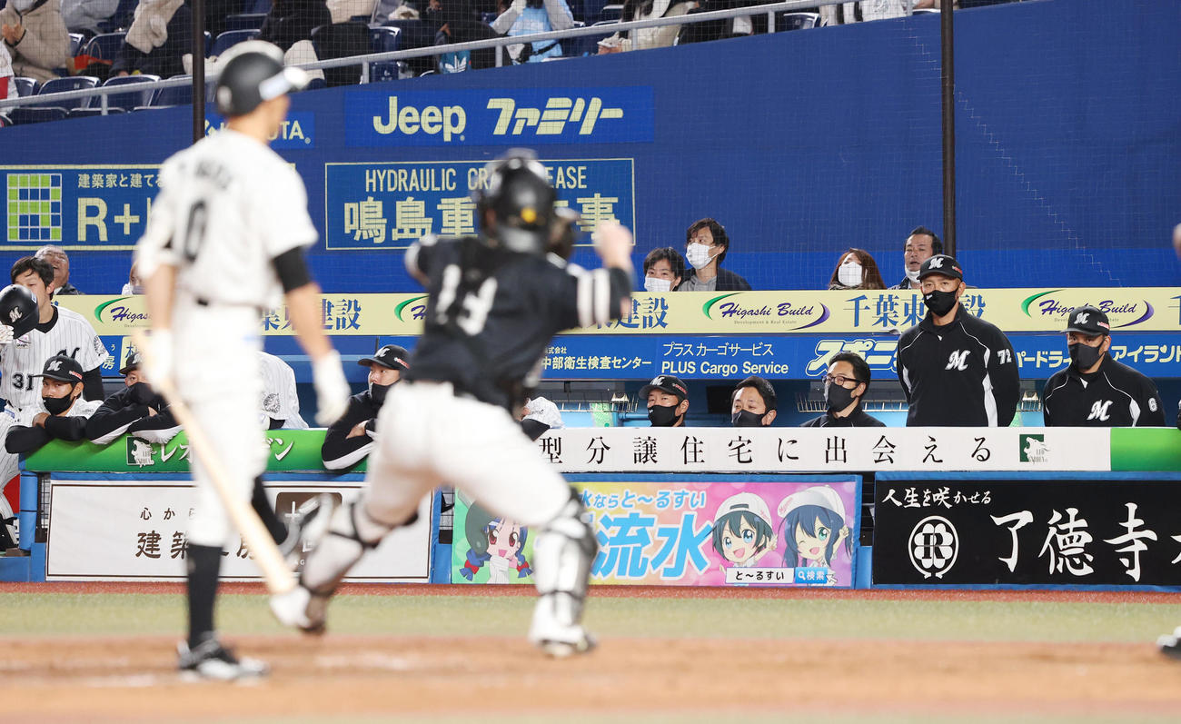 ロッテ対ソフトバンク　9回裏、厳しい表情で戦況を見つめるロッテ井口監督（右端）らベンチ（撮影・垰建太）
