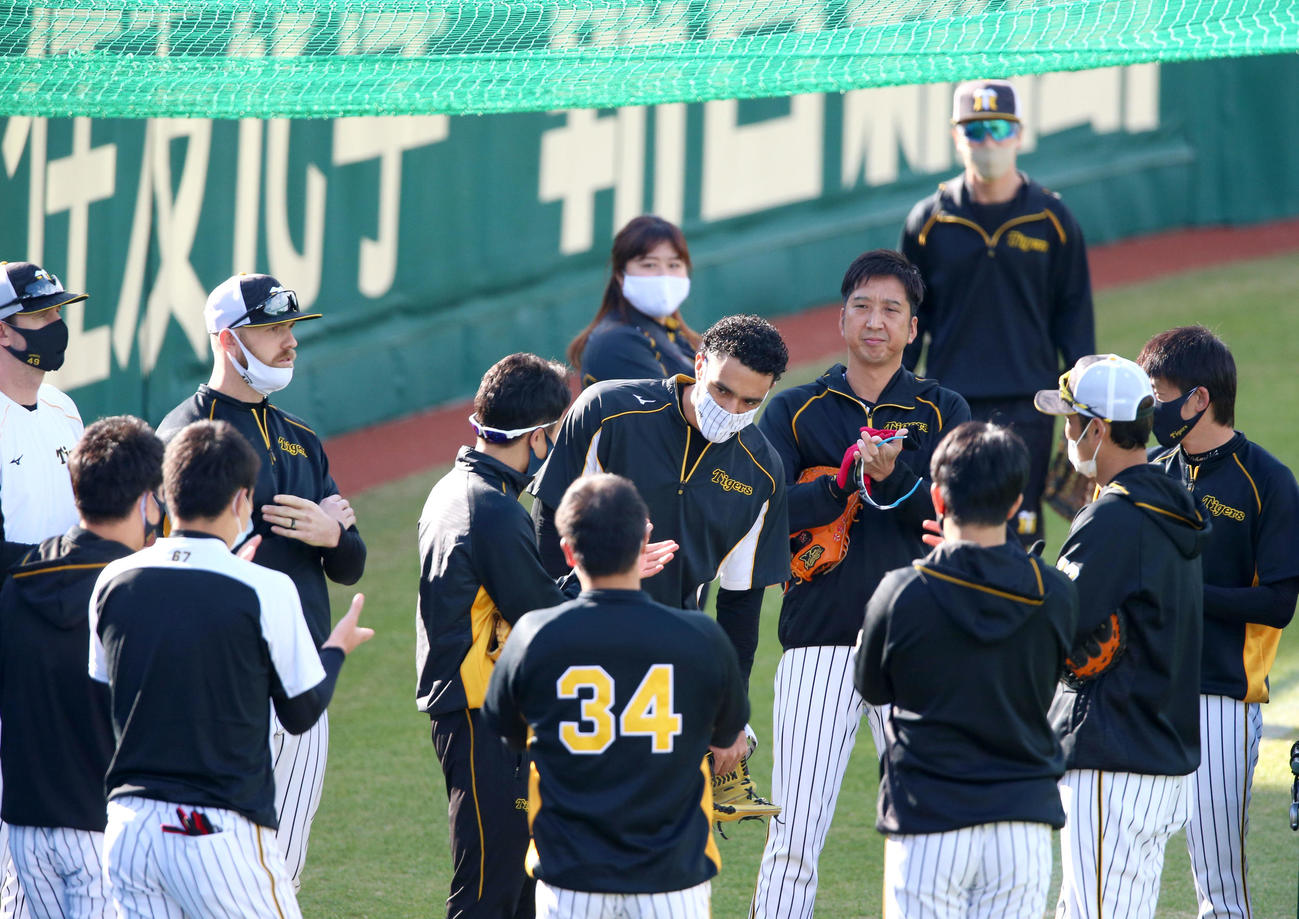 阪神対ヤクルト　練習前、セーブ王のタイトルを獲得したスアレス（中央）を祝福する投手陣（撮影・上山淳一）