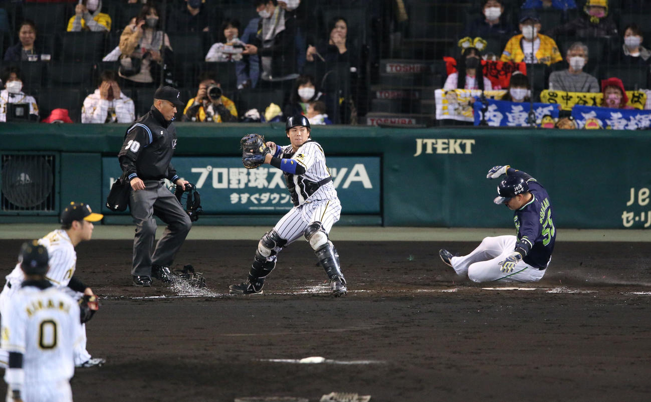 阪神対ヤクルト　2回表ヤクルト2死二、三塁、西勇のけん制で三走村上（右）がホームスチールに成功する（撮影・上山淳一）