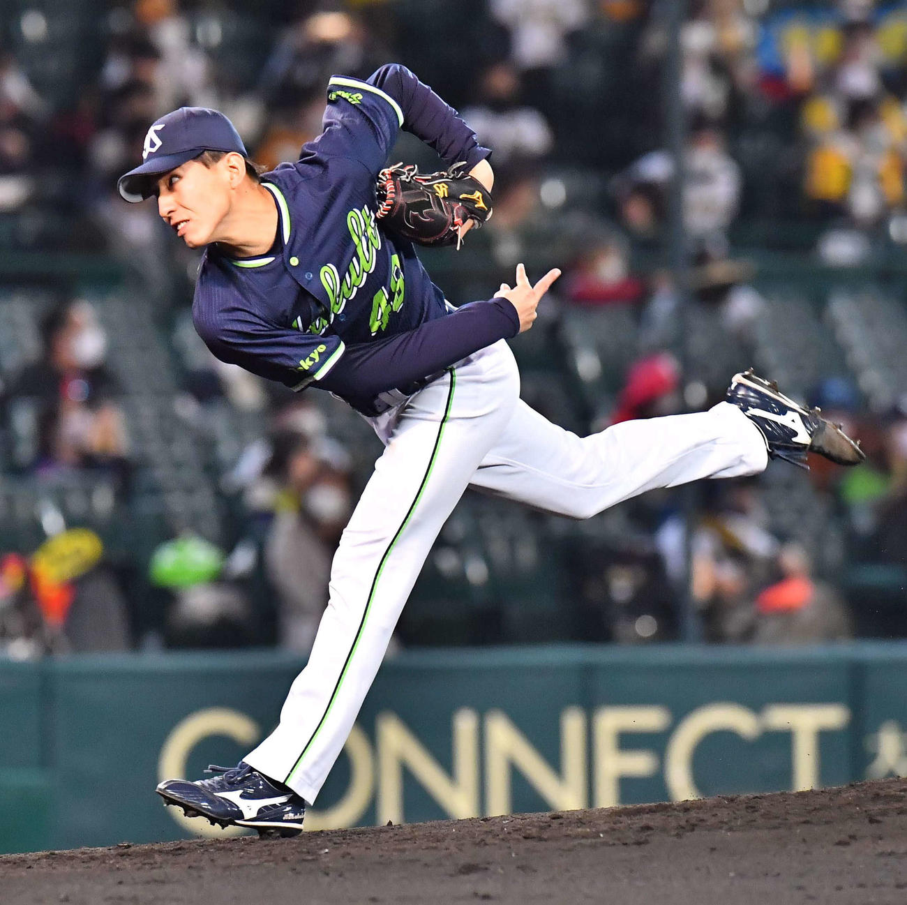 阪神対ヤクルト　ヤクルト先発金久保優斗（撮影・上田博志）