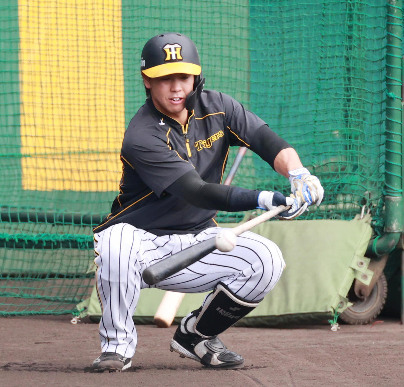 打撃練習を行う梅野隆太郎（撮影・清水貴仁）
