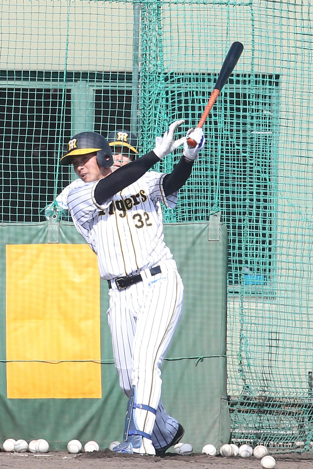 フリー打撃を行う井上（代表撮影）