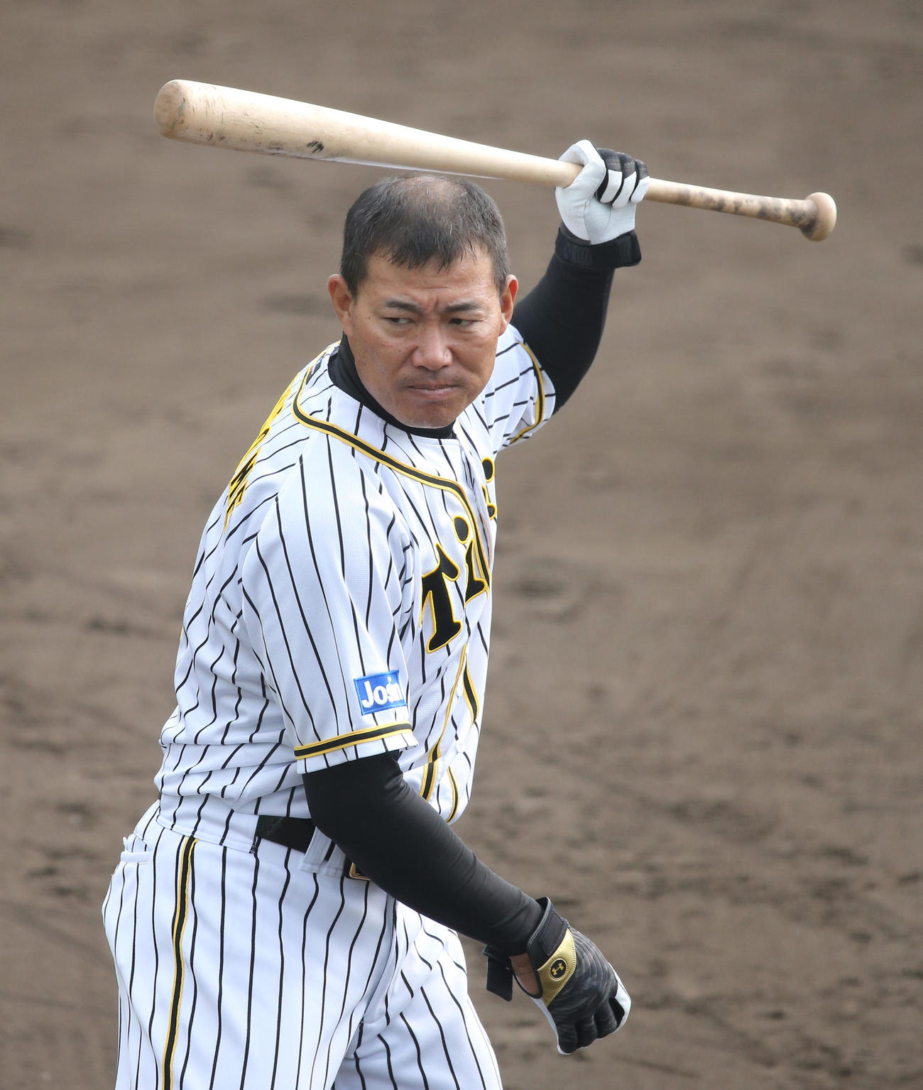 打撃練習を行う阪神福留（代表撮影）