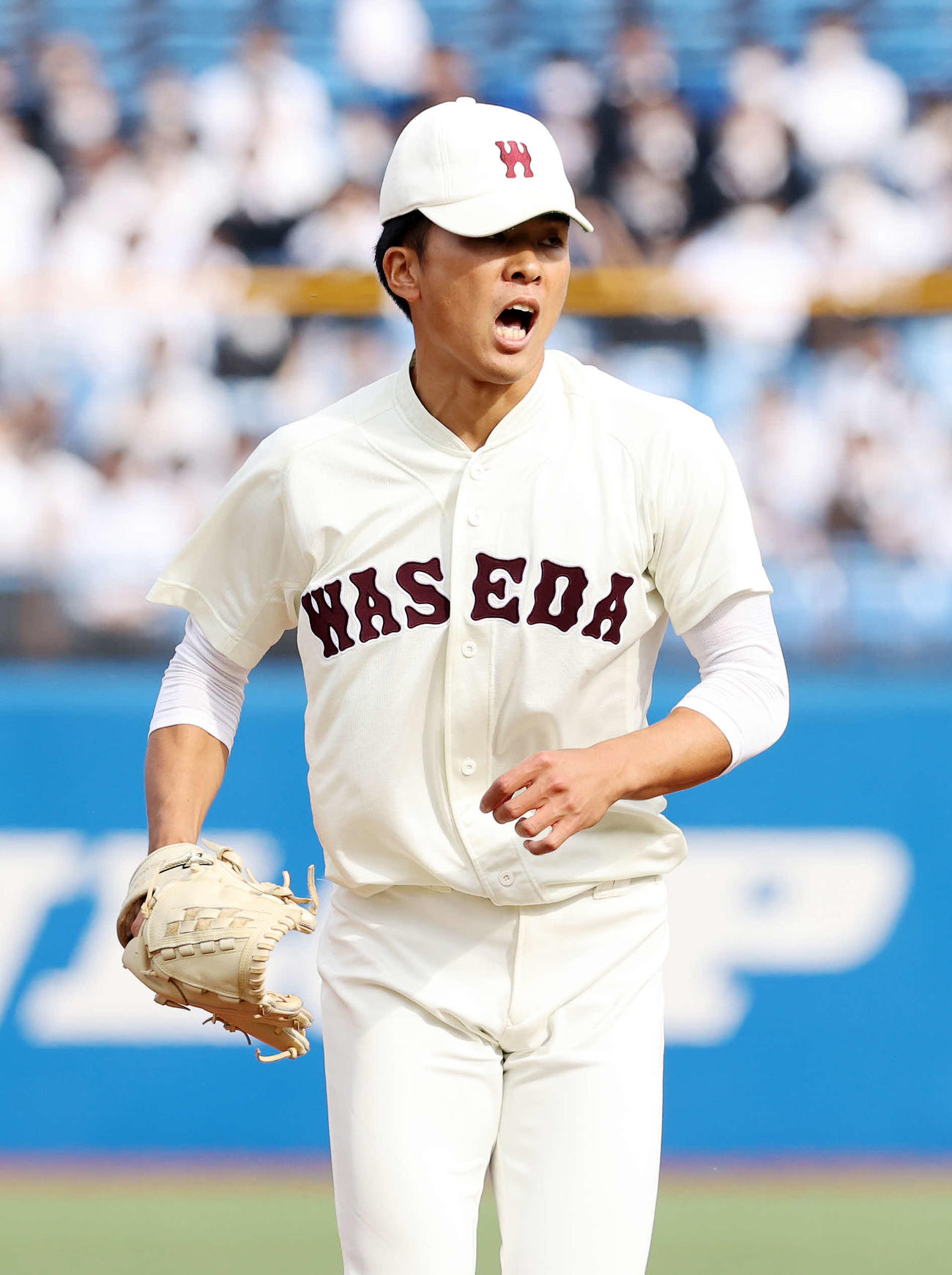慶大対早大　1回表慶大無死、渡部遼人を三ゴロに打ち取り雄たけびを上げる早大・早川（撮影・鈴木正人）