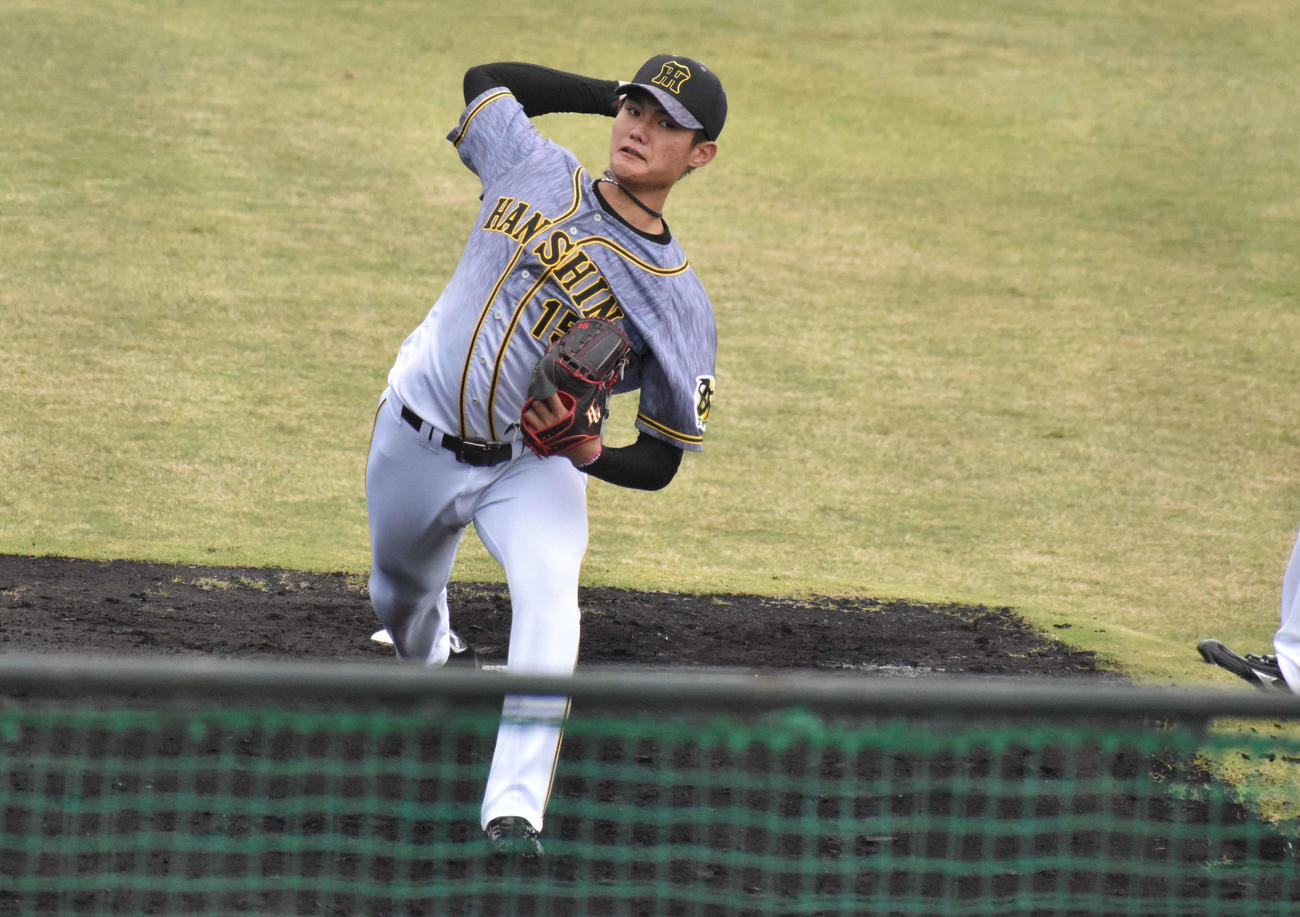 フェニックス・リーグ西武戦に先発する阪神西純矢投手（撮影・只松憲）