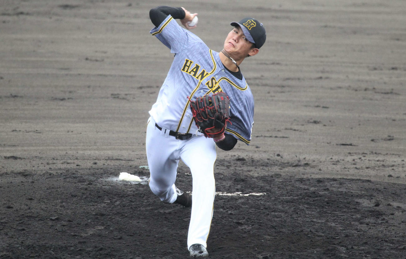 フェニックス・リーグ西武戦に先発した西純（撮影・只松憲）