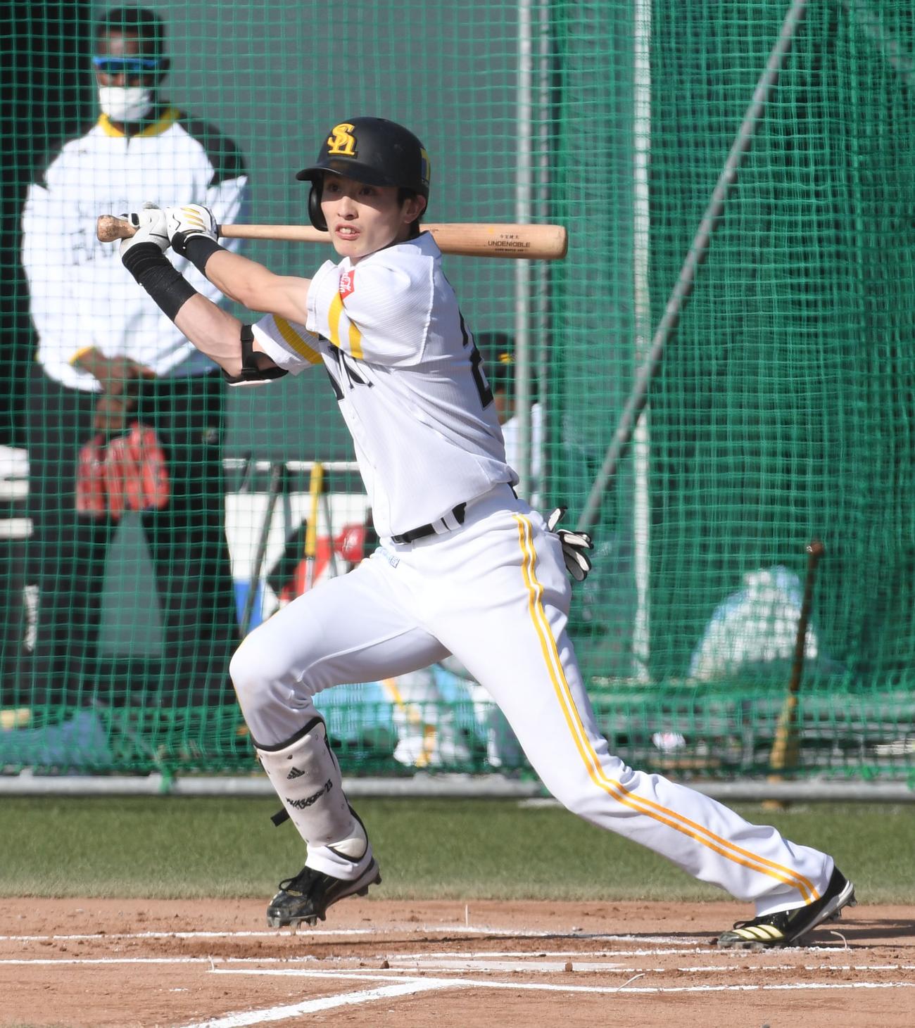 シート打撃で内野ゴロに倒れる周東佑京（撮影・今浪浩三）