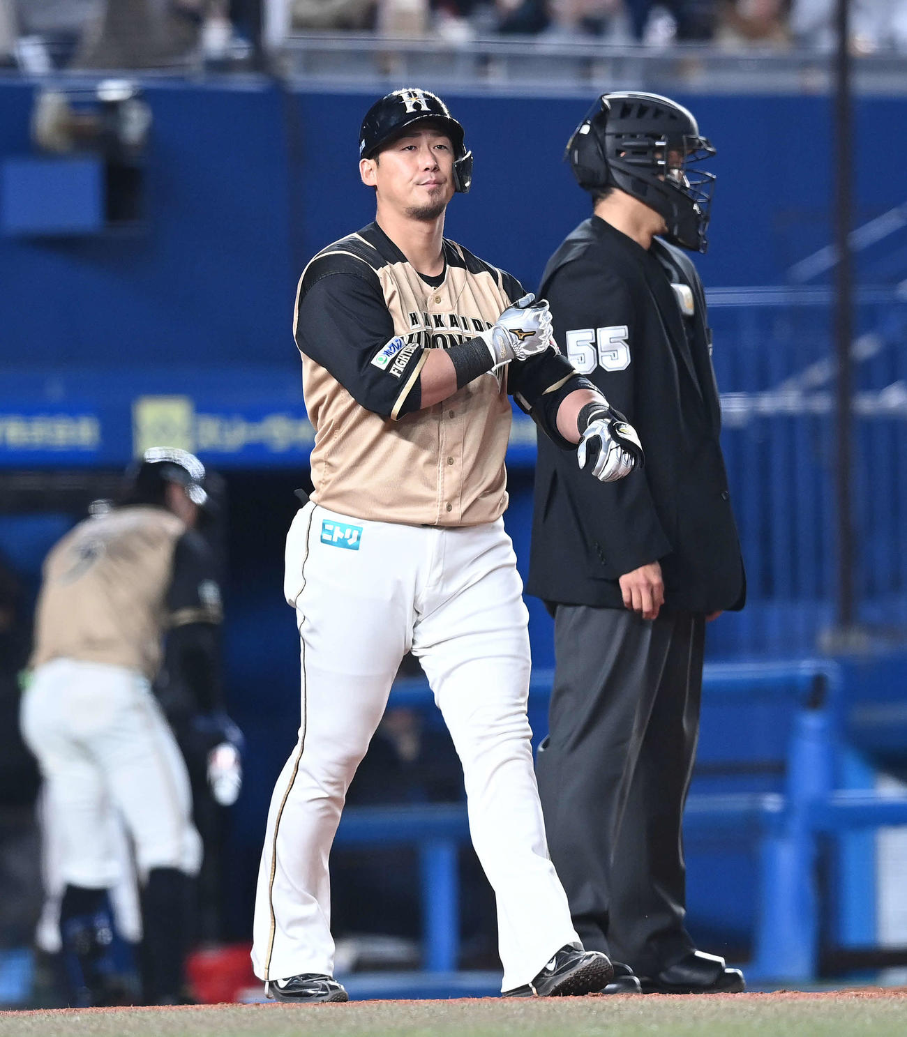 ロッテ対日本ハム　5回表日本ハム1死二塁、四球を選ぶ中田（撮影・鈴木みどり）