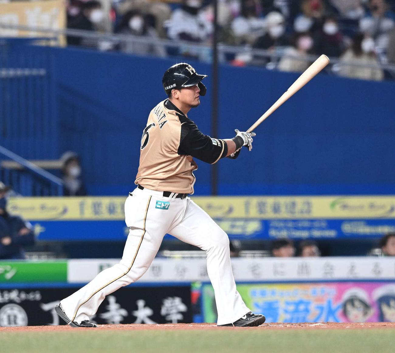 ロッテ対日本ハム　9回表日本ハム1死一塁、中飛に倒れる中田（撮影・鈴木みどり）