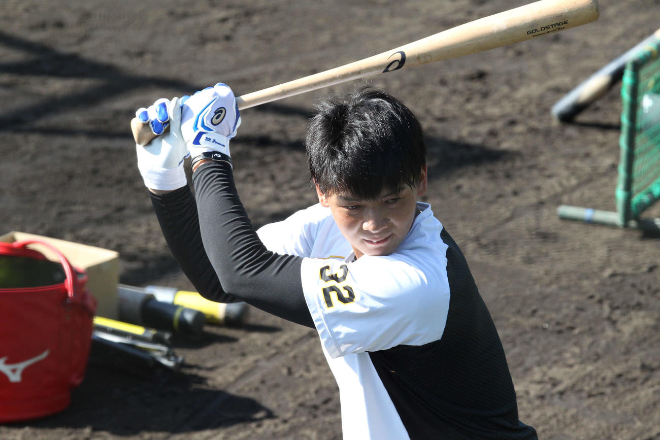 試合前に打撃練習を行う阪神井上（撮影・只松憲）